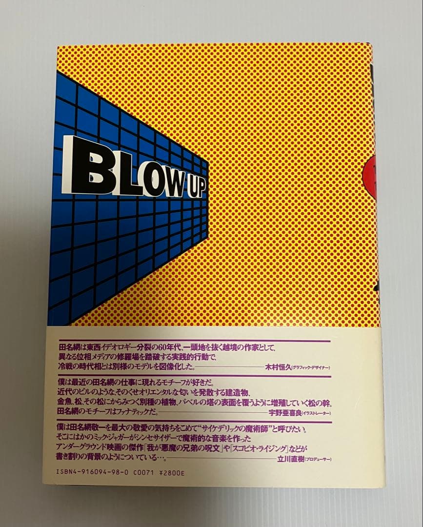 BLOW UP 田名網敬一 1963-1974