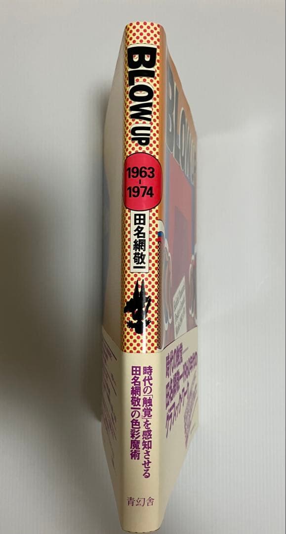 BLOW UP 田名網敬一 1963-1974