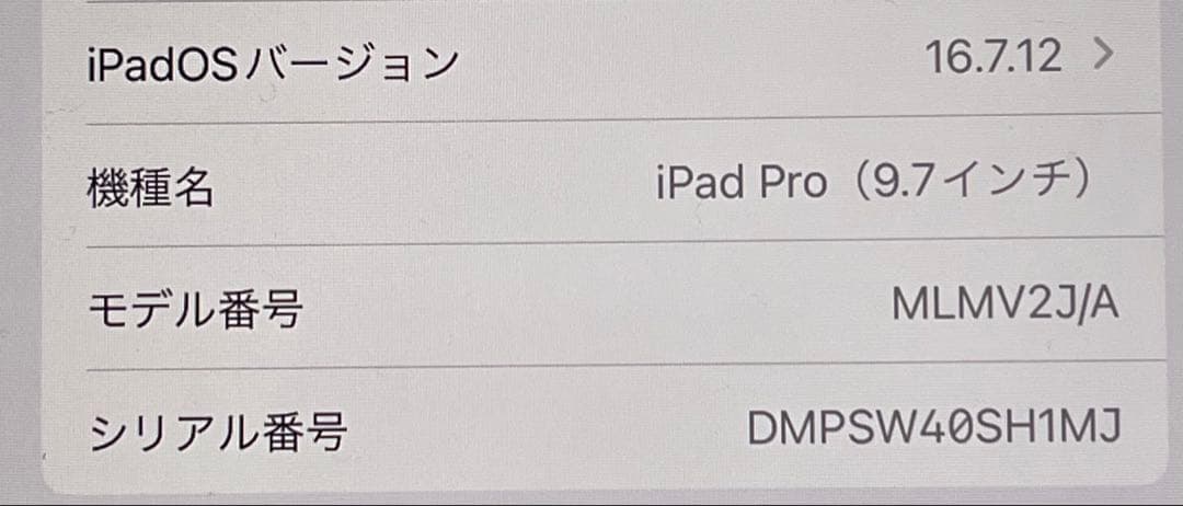 iPad Pro 9.7インチ 128GB 2016年モデル