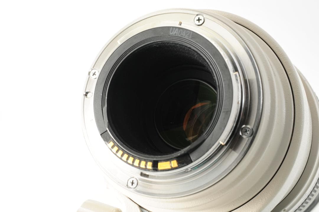 Canon EF 100-400mm F/4.5-5.6 L IS USM 美品