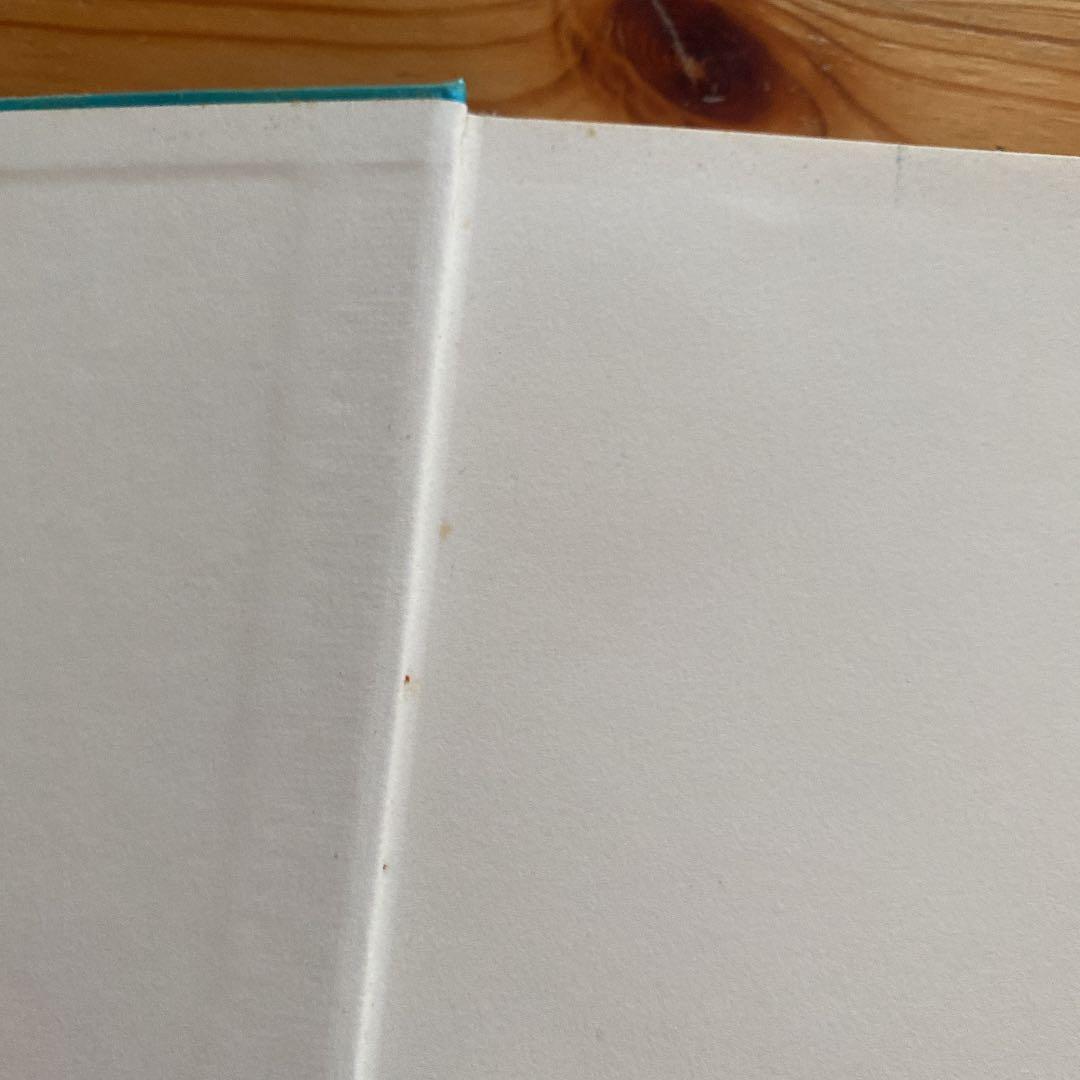 この星 野口里佳