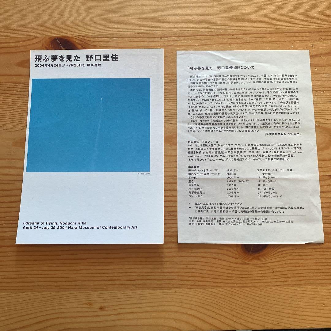 この星 野口里佳