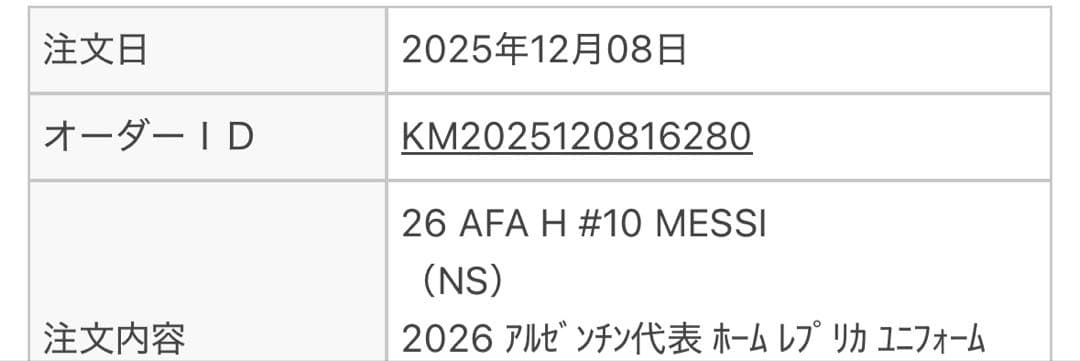 アルゼンチン代表 メッシ ユニフォーム XL 2026 ワールドカップ