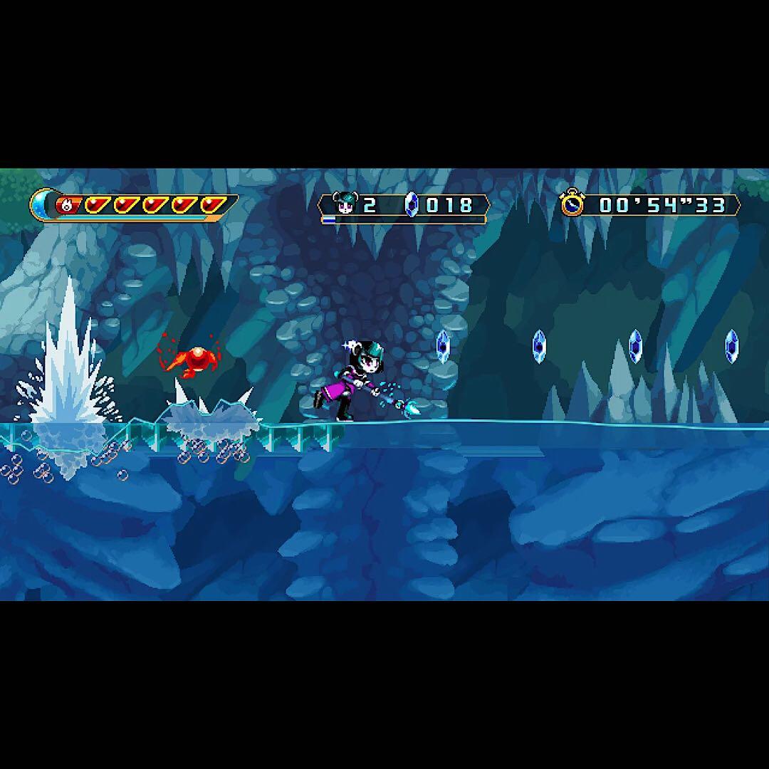 FREEDOM PLANET 2 フリーダムプラネット2 北米版 switch