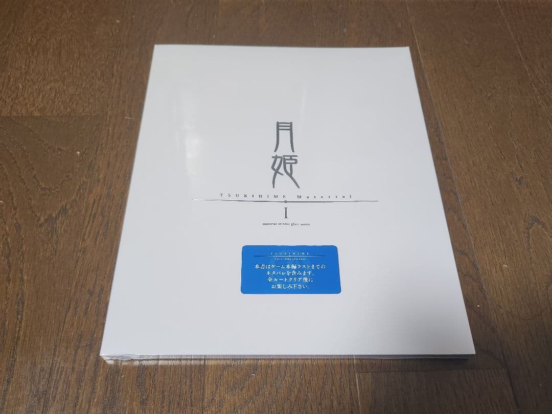 Nintendo Switch 月姫 魔法使いの夜限定版セット