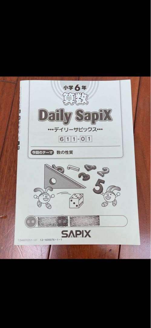 2024年度　6年　デイリーサポート　デイリーサピックス　算数
