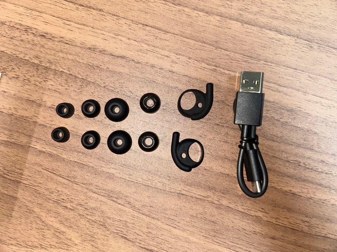 イヤホン Denon Perl Pro + eppfun AK3040 Pro