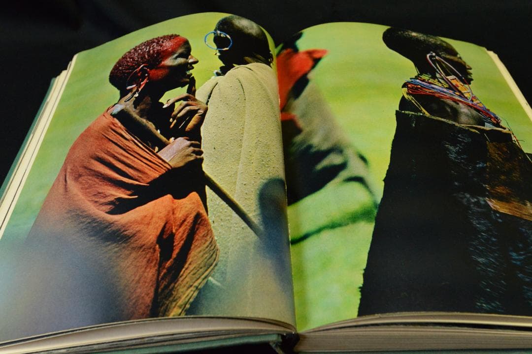 The End of The Game：peter beard ★値下げしました