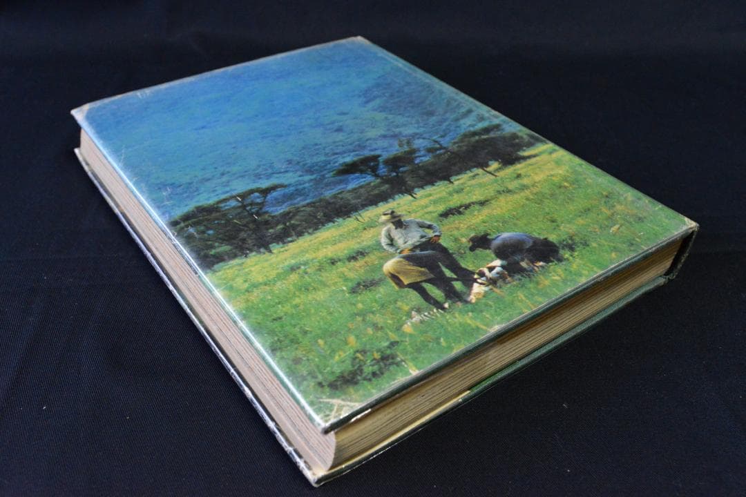 The End of The Game：peter beard ★値下げしました