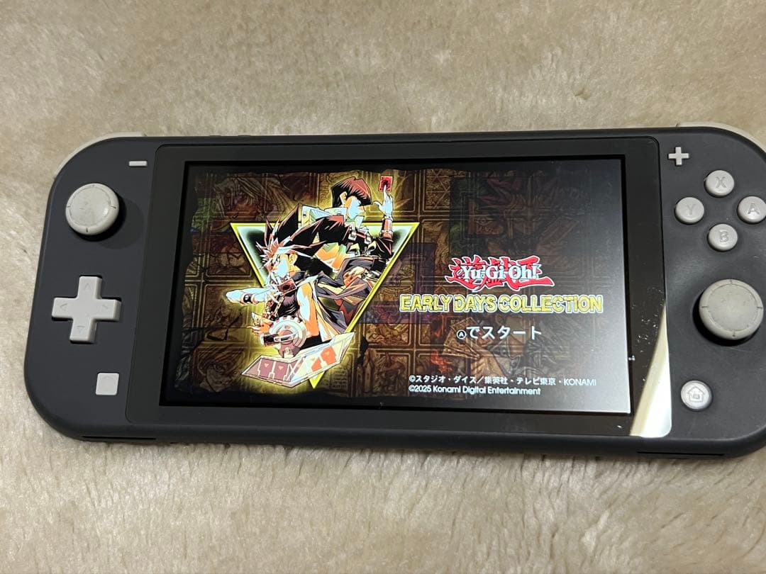 【動作確認済】Nintendo Switch Lite グレー 本体