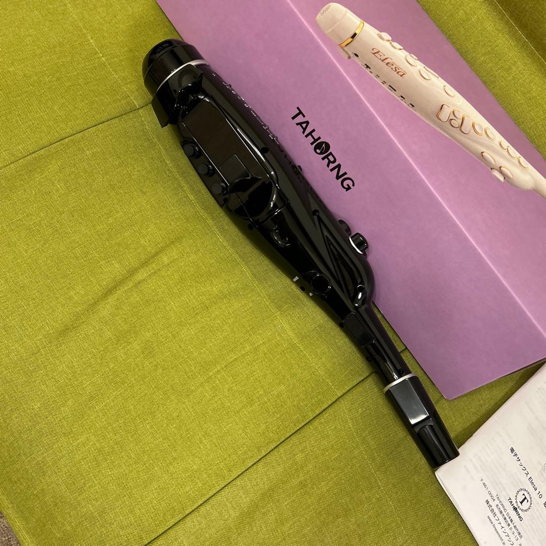 管楽器・吹奏楽器 TAHORNG Elesa10 Black