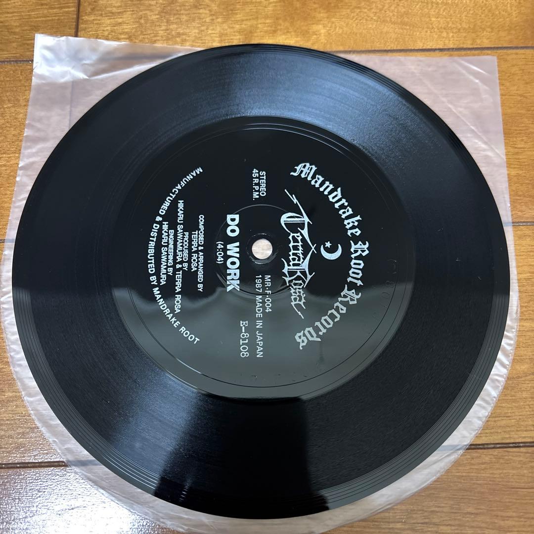 邦楽 TERRA ROSA THE ENDLESS BASIS