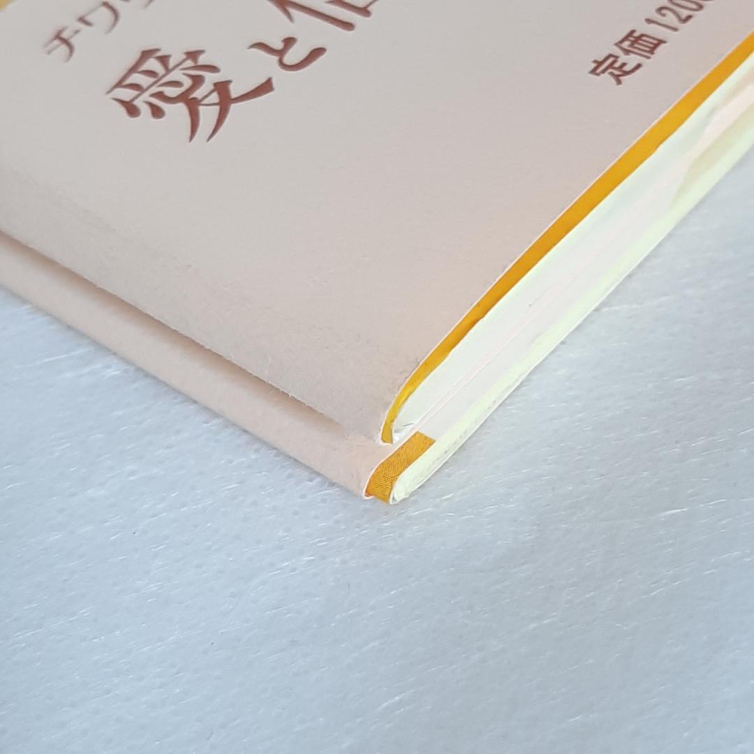 【帯付き・初版】子犬のピピン ローズマリ・サトクリフ 猪熊葉子 1995年 レア