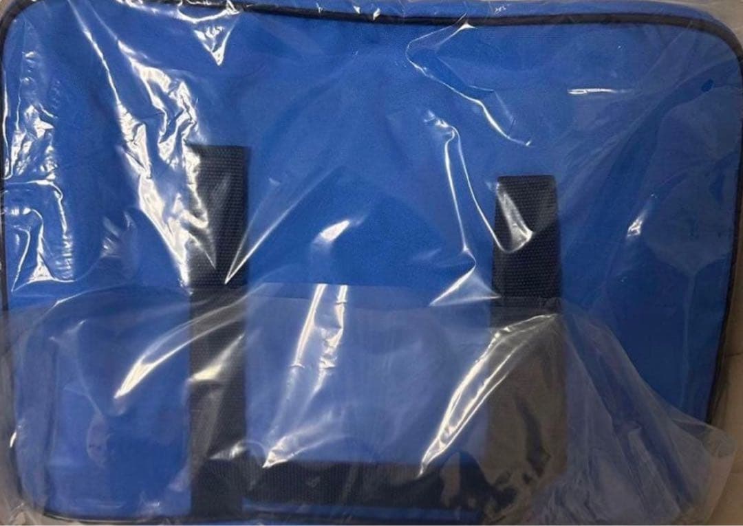 【現在最安値】【新品旧型】ワールドペガサス スクバ 青　ワッぺ青