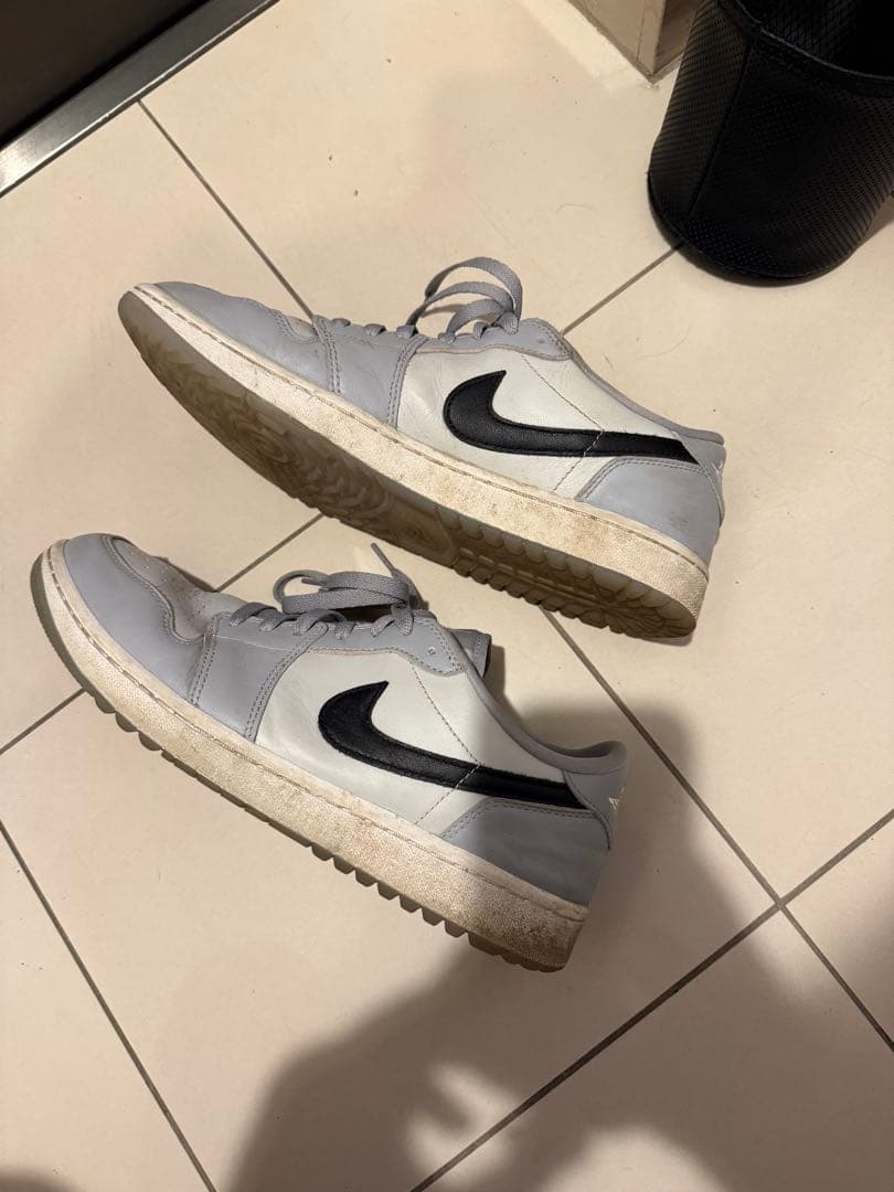 Nike Air Jordan Golf シューズ グレー　29.0cm