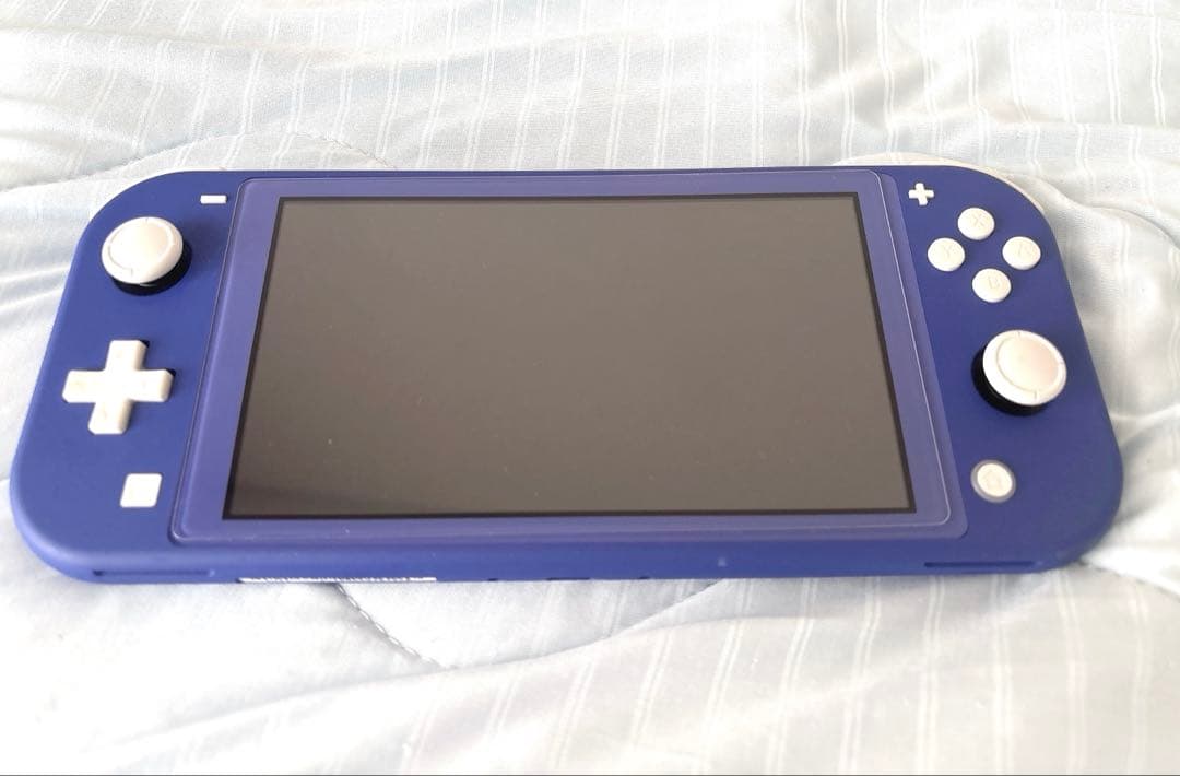 Nintendo Switch Lite 充電器付き　おまけでカバーも