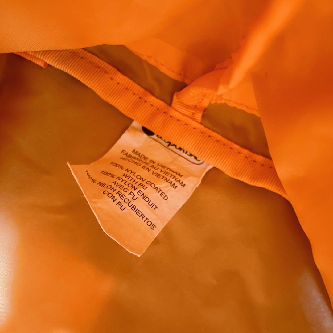 未使用級✨LeSportsac EASY EDITOR’S TOTE2 ヒテン