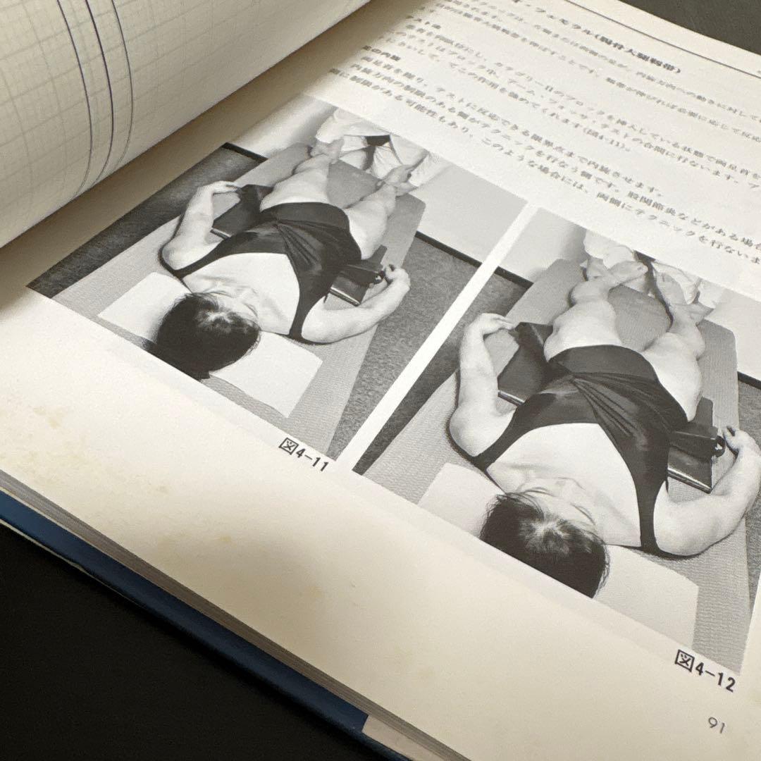 臨床家のためのブロックテクニック