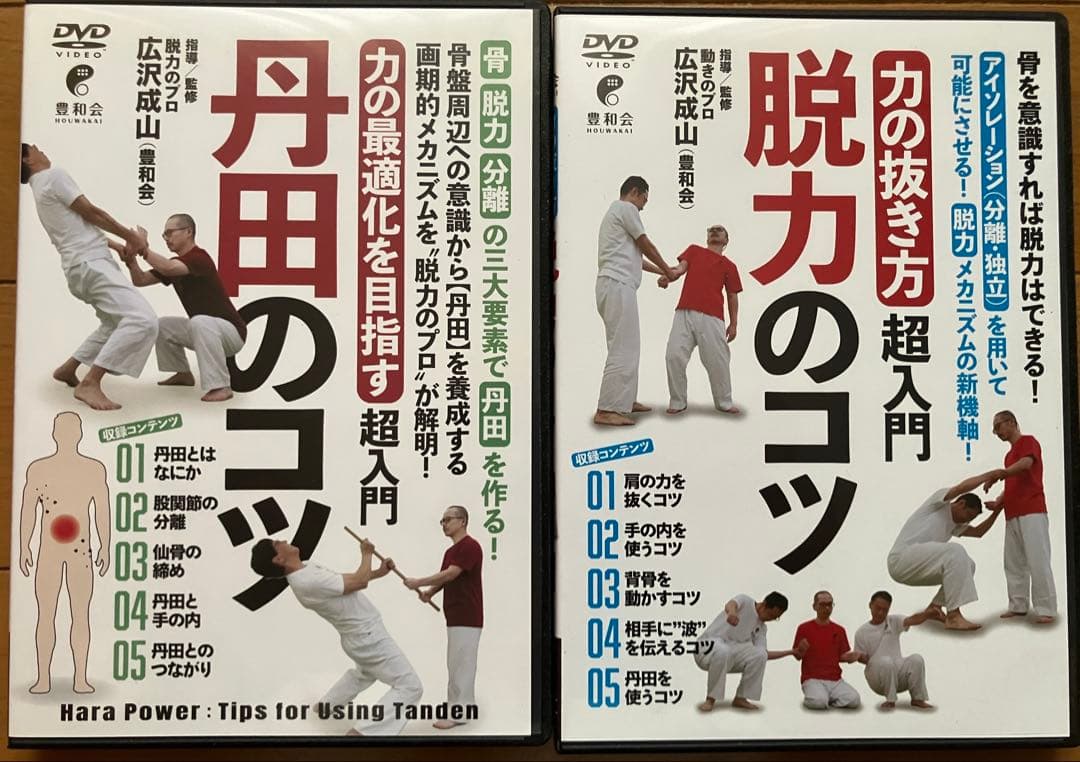 【DVD】脱力のコツ×1、丹田のコツ×1 (広沢成山)