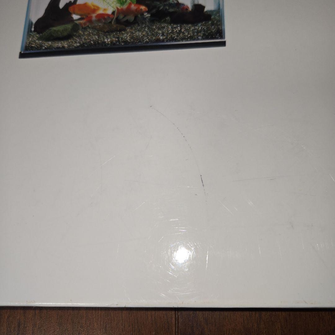 小学館の図鑑 NEO 10冊セット