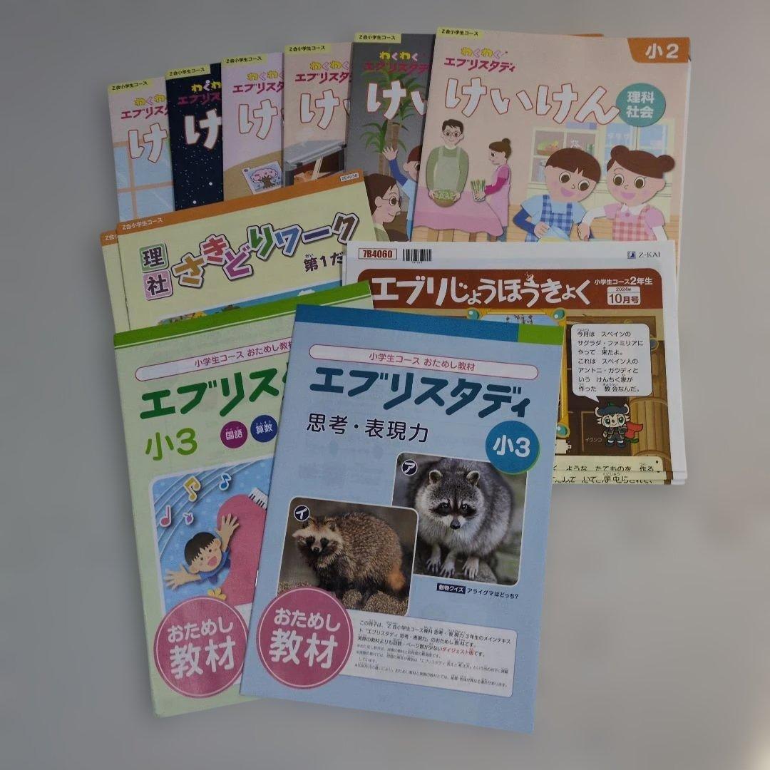 【Z会小学2年生コース】エブリスタディワーク/みらい思考力等≪10～3月号≫