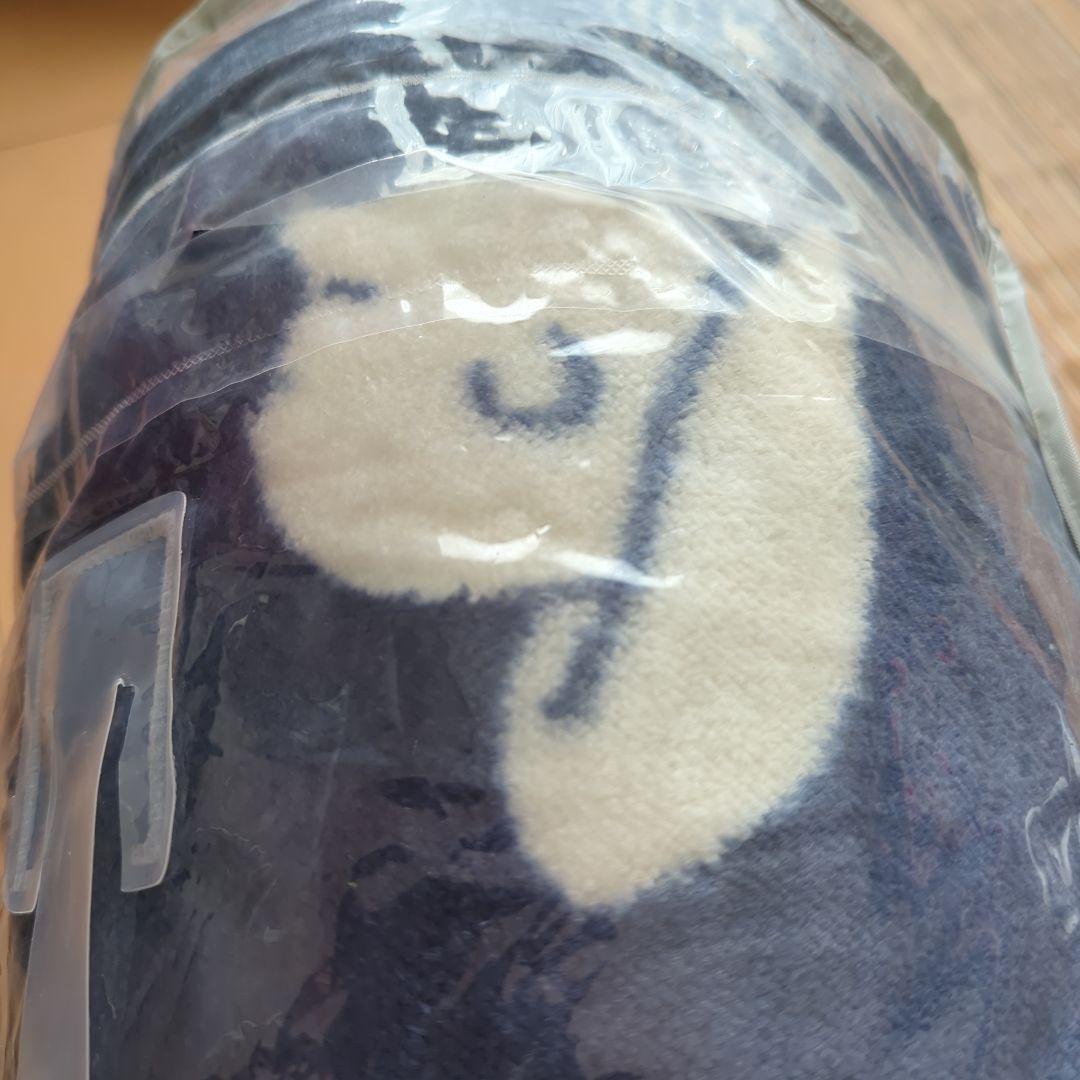 感謝価格一品　UNIQLOスヌーピーヒートテック毛布ダブル　ラスト現品限り