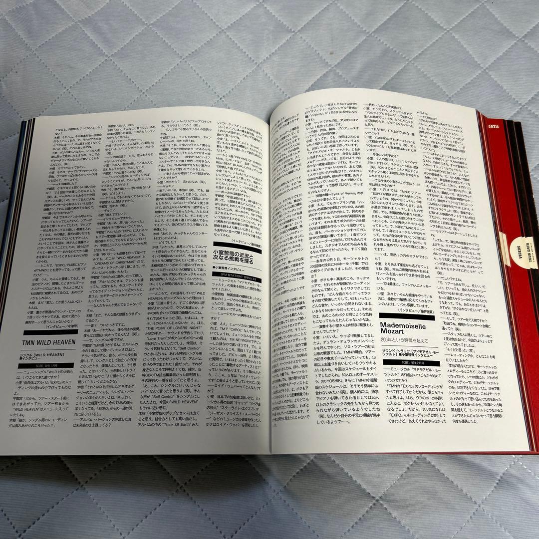 アート・デザイン・音楽 TMN FINAL 4001