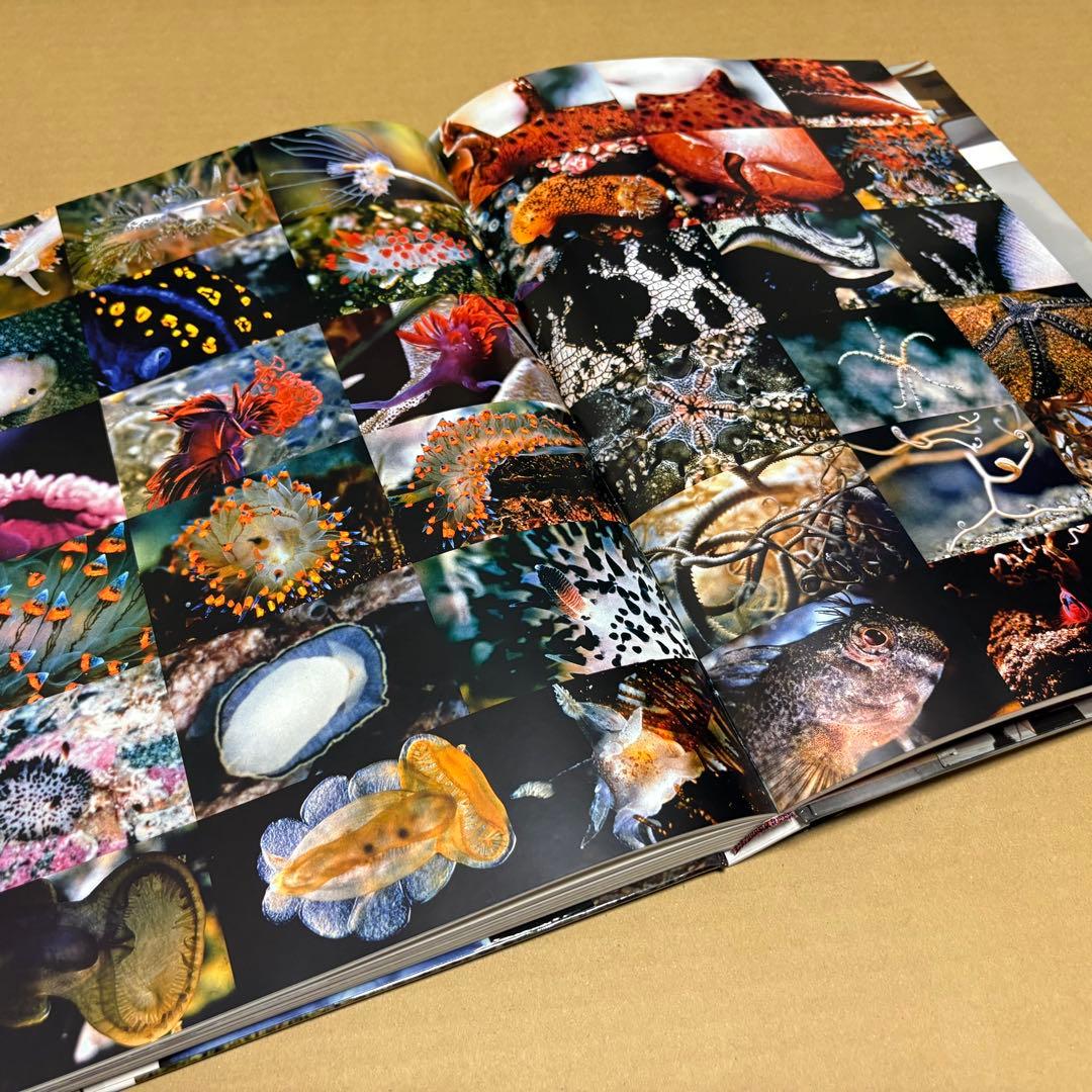 【中古洋書】THE WORLD OF CHARLES AND RAY EAMES