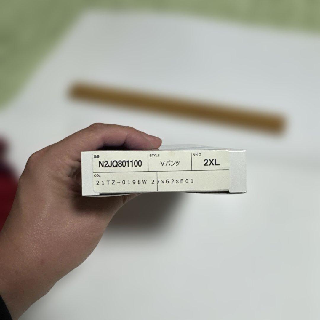 競パン Mizuno 競泳水着 FINA認証 2XL N2JQ801100