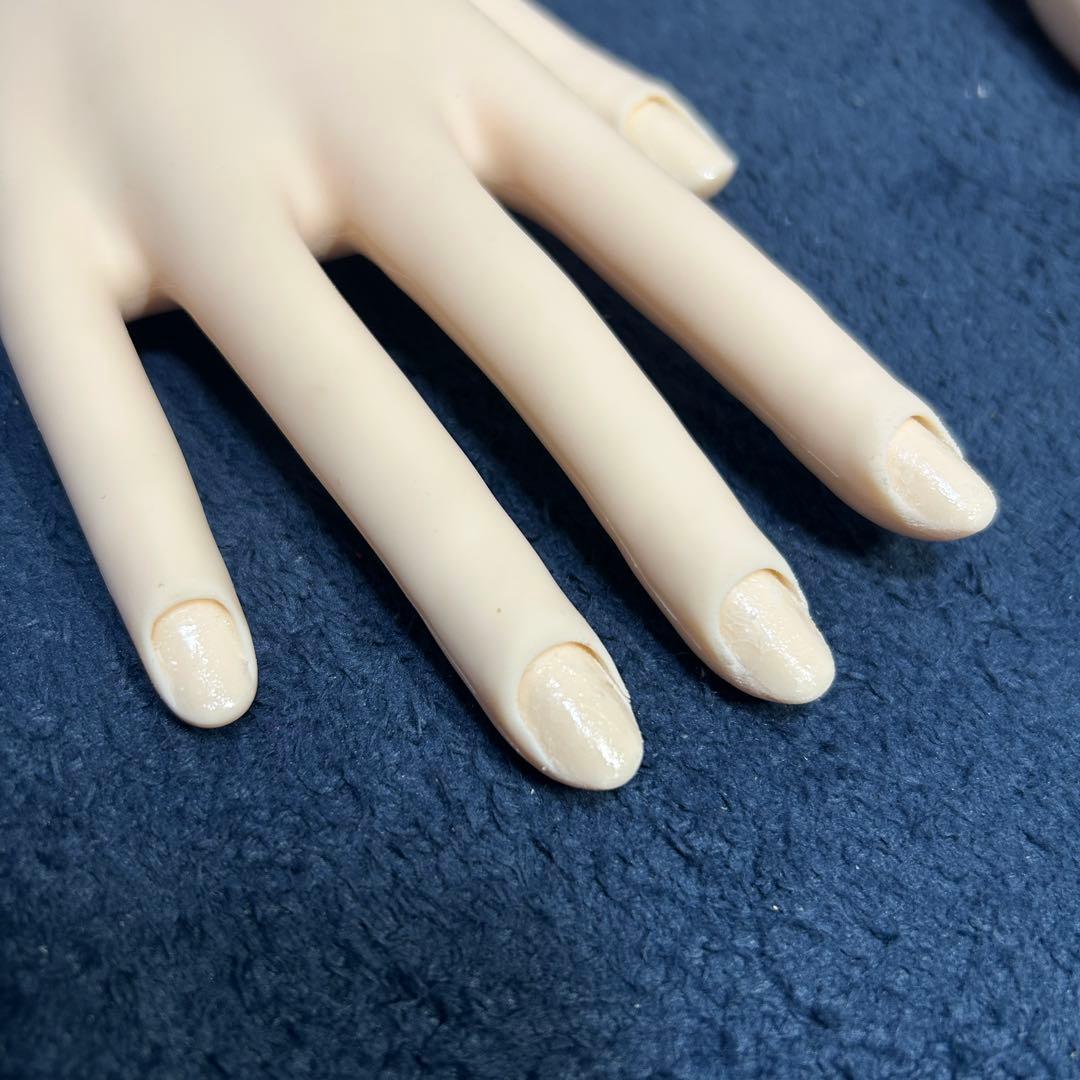 JENC 認定モデルハンド ネイリスト検定