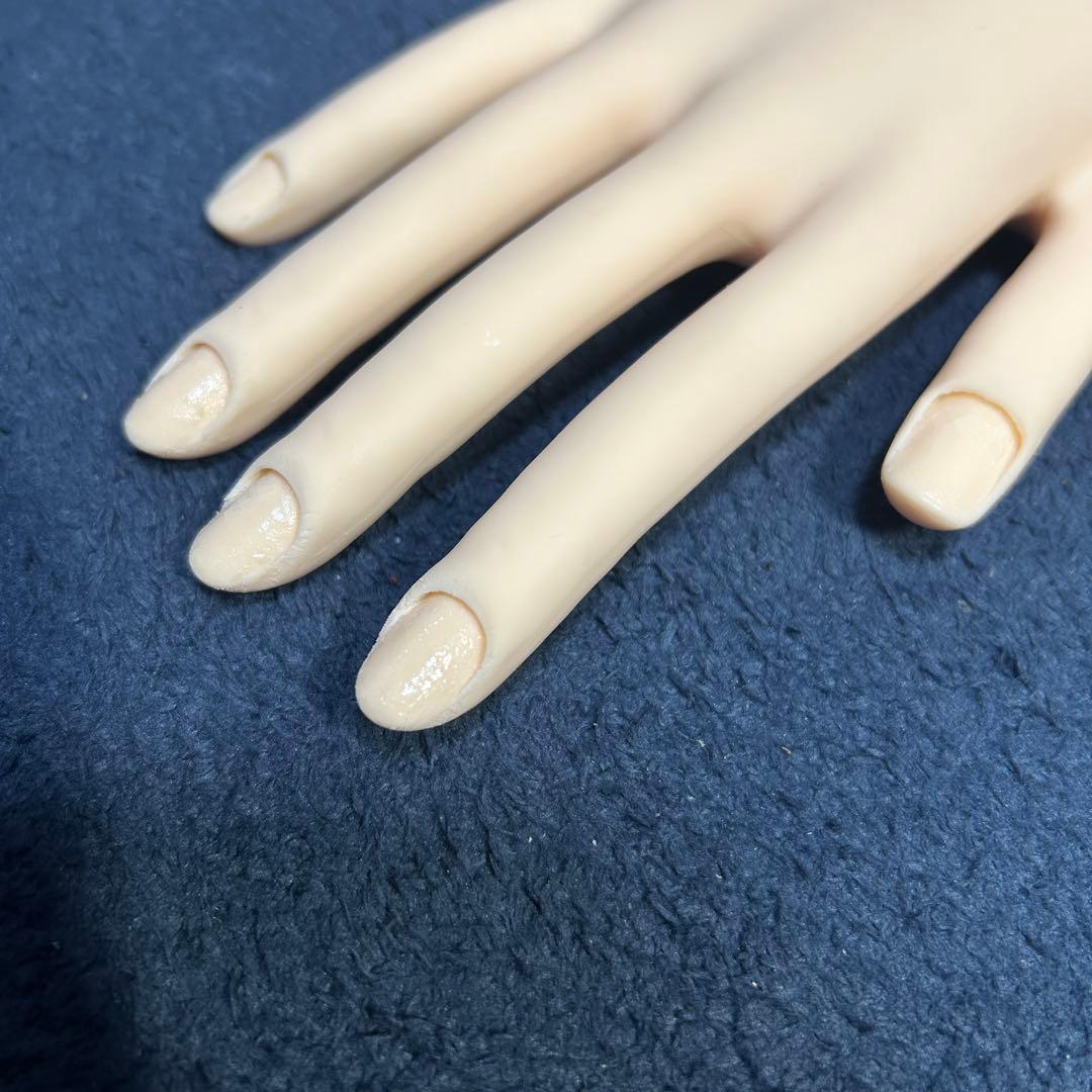 JENC 認定モデルハンド ネイリスト検定