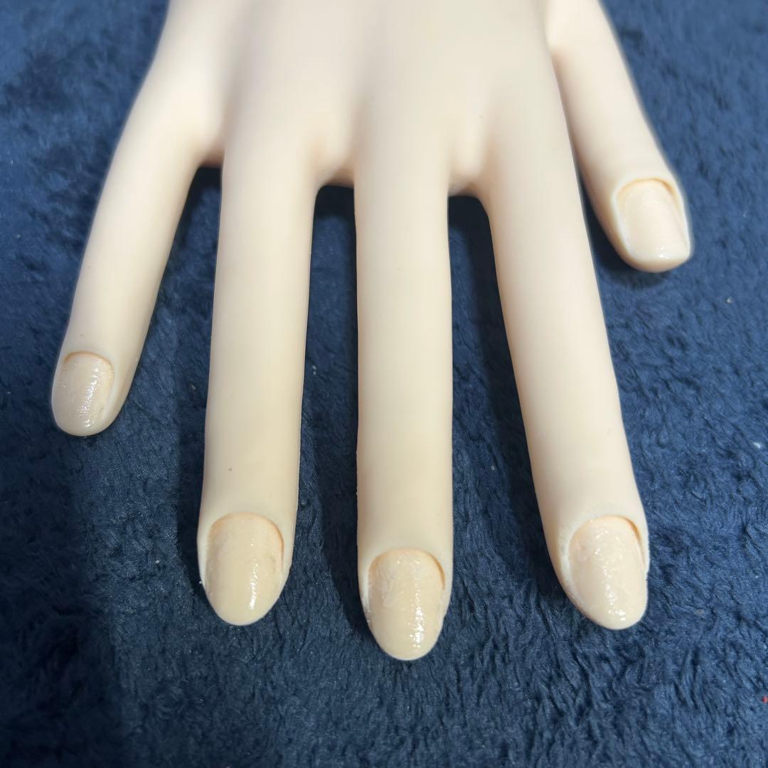 JENC 認定モデルハンド ネイリスト検定