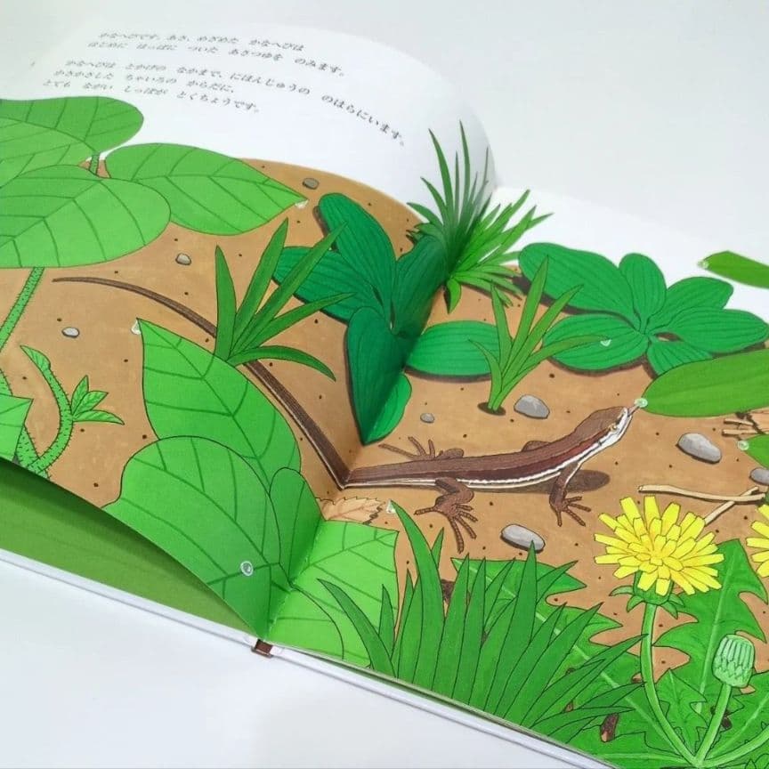 【かがくのとも絵本】かなへび 竹中践　石森愛彦　福音館書店　よみきかせえほん