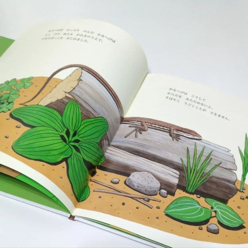 【かがくのとも絵本】かなへび 竹中践　石森愛彦　福音館書店　よみきかせえほん