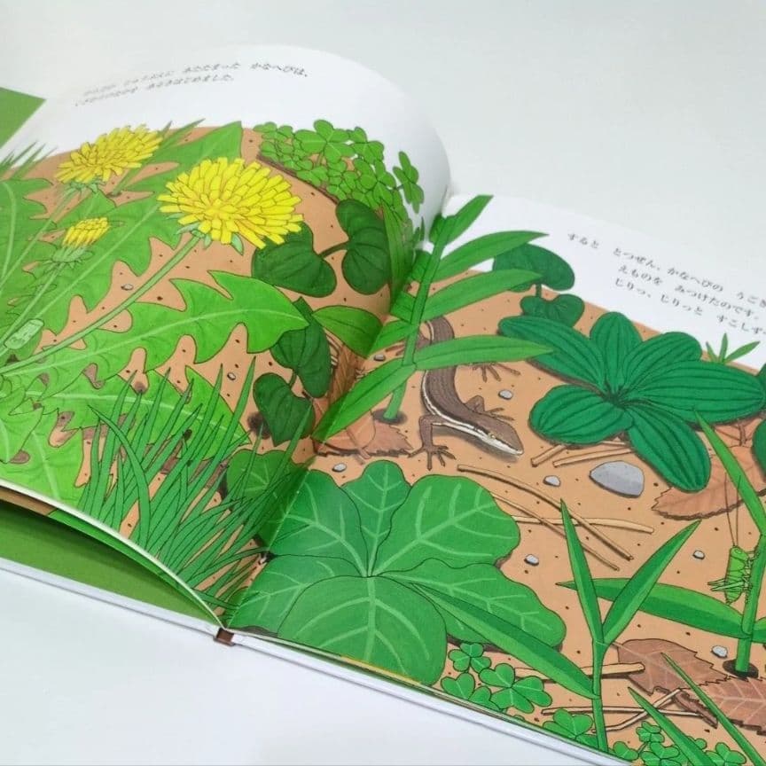 【かがくのとも絵本】かなへび 竹中践　石森愛彦　福音館書店　よみきかせえほん