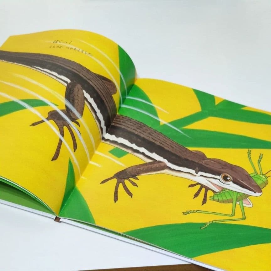 【かがくのとも絵本】かなへび 竹中践　石森愛彦　福音館書店　よみきかせえほん