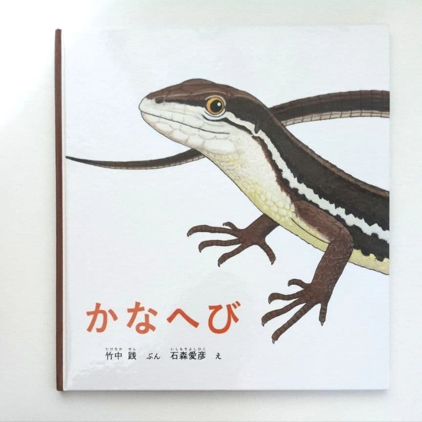 【かがくのとも絵本】かなへび 竹中践　石森愛彦　福音館書店　よみきかせえほん