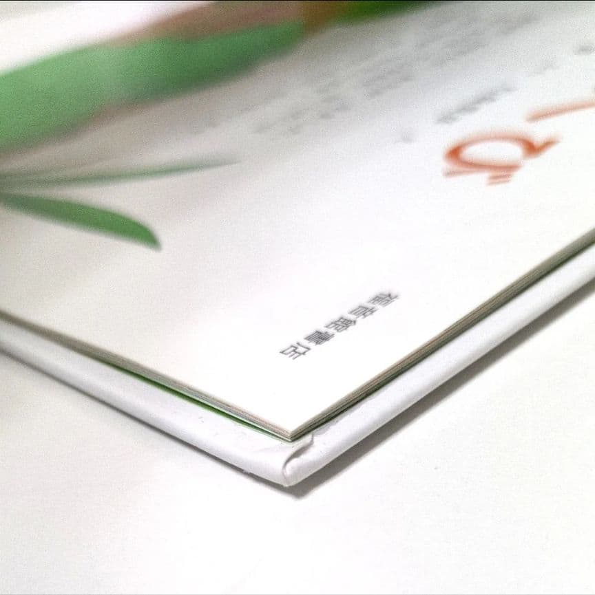 【かがくのとも絵本】かなへび 竹中践　石森愛彦　福音館書店　よみきかせえほん