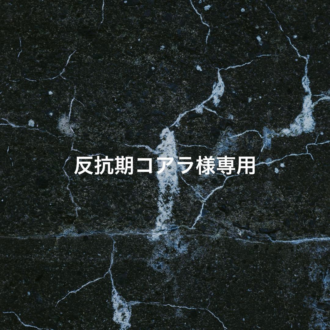 反抗期コアラ 1/28 3点セット XL,XL,フリー