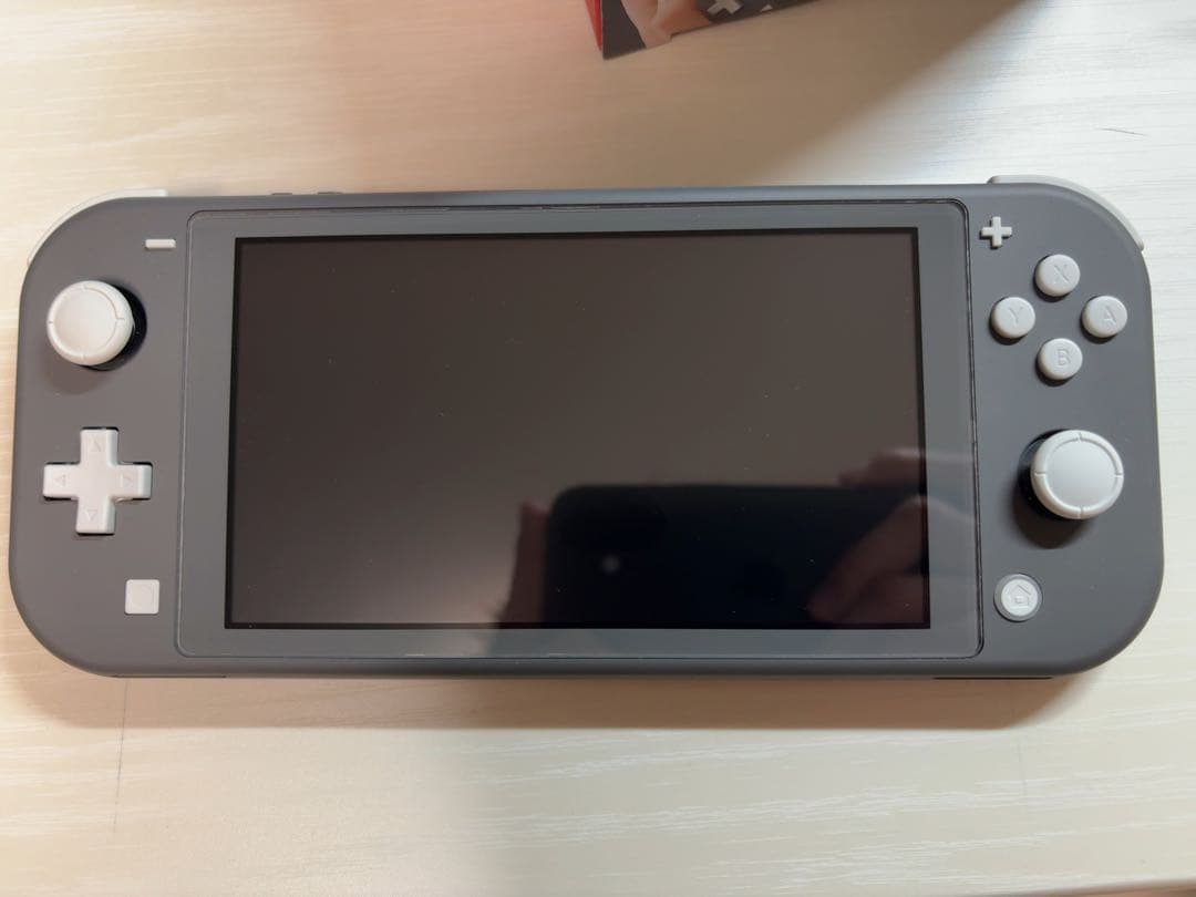 Nintendo Switch Lite グレー 充電器とカバー付き
