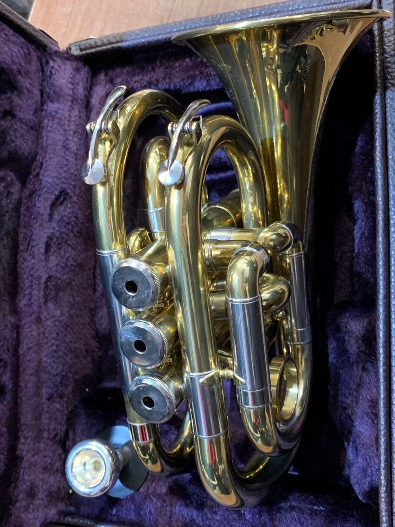 Heinrich へインリッチ ケース付 ポケットトランペット