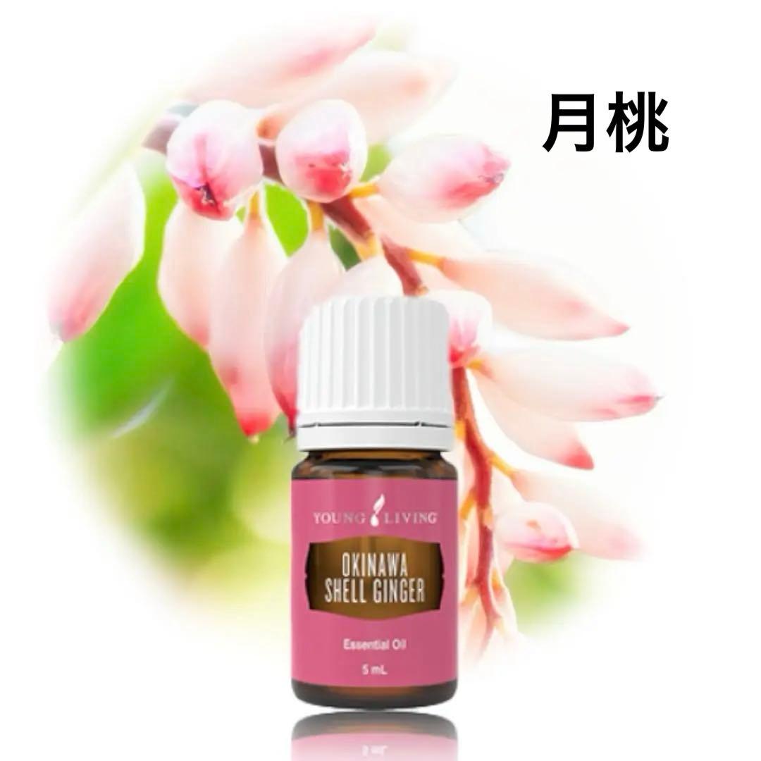 新品❣️ 沖縄月桃　タイリン　5ml 再販開始　ヤングリビング　集中力　スキンケア