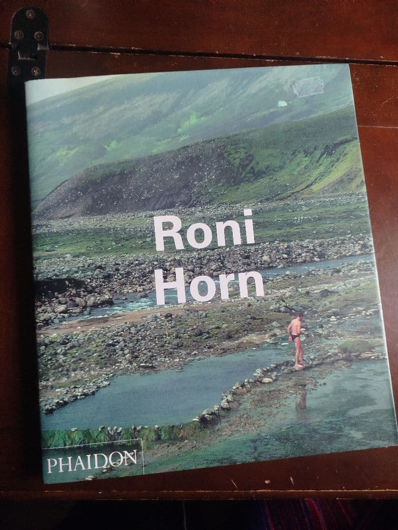 Roni Horn アートブック Phaidon