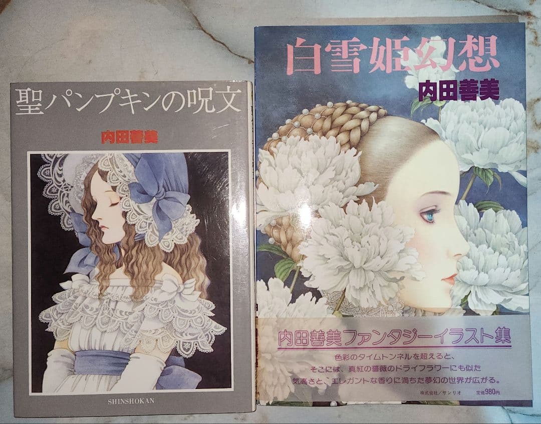 内田善美 イラスト集 2冊セット