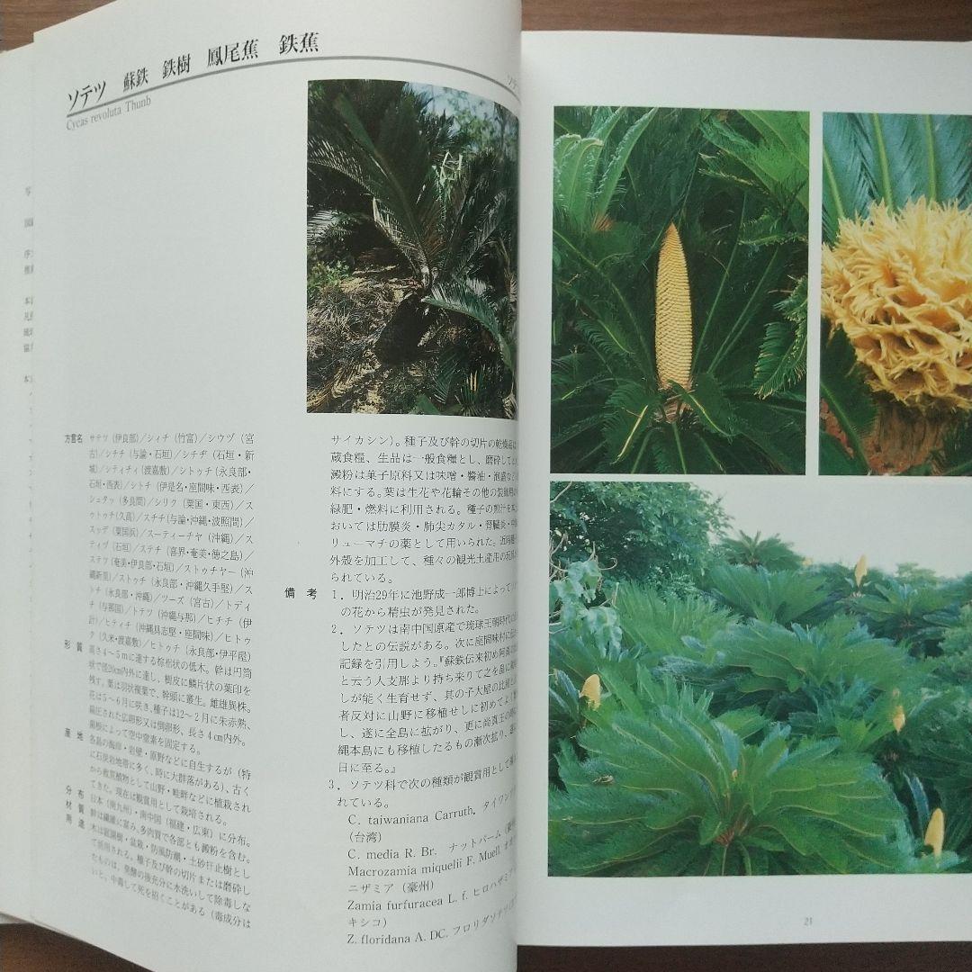 図鑑 琉球列島有用樹木誌