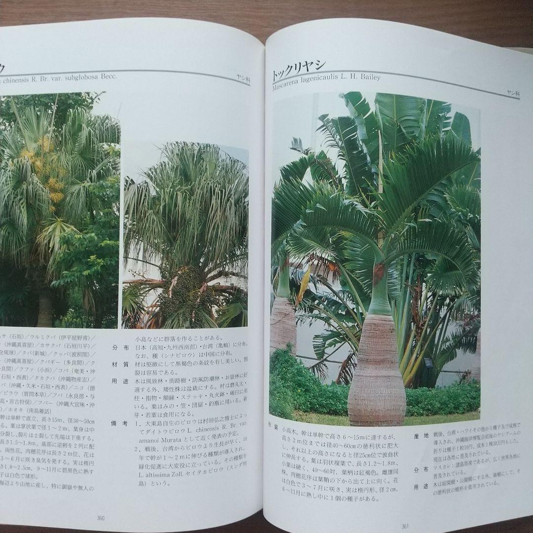 図鑑 琉球列島有用樹木誌