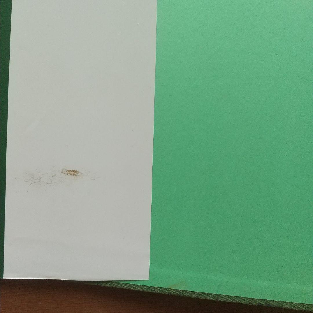 図鑑 琉球列島有用樹木誌