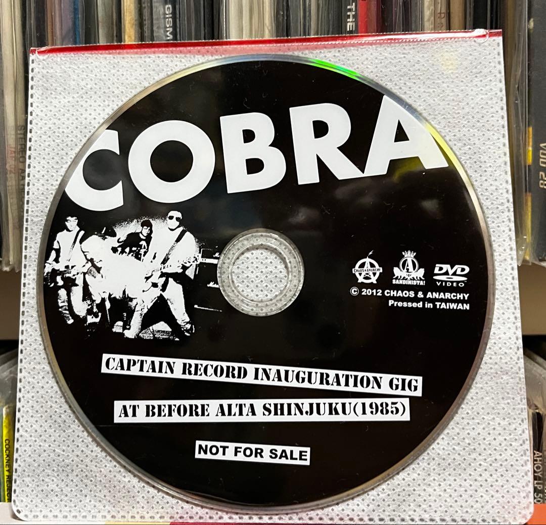COBRA コブラ 非売品DVD アルタ前ライブ/ラフィンノーズエスエー