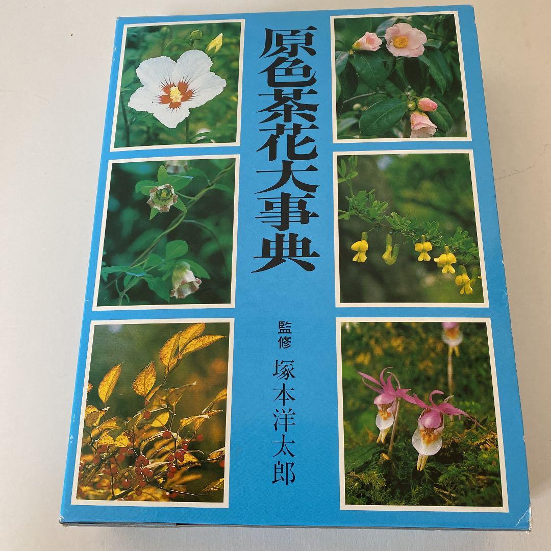 原色茶花大事典