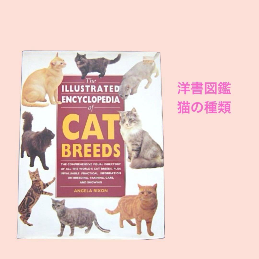 本256／洋書　図鑑　all the World's Cat Breeds